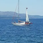 Silvi *