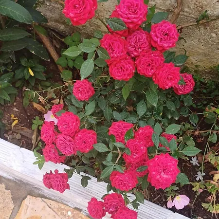 Silvi Appartement Ksamil