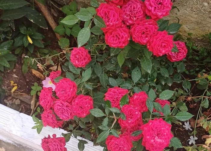 Silvi Appartement Ksamil